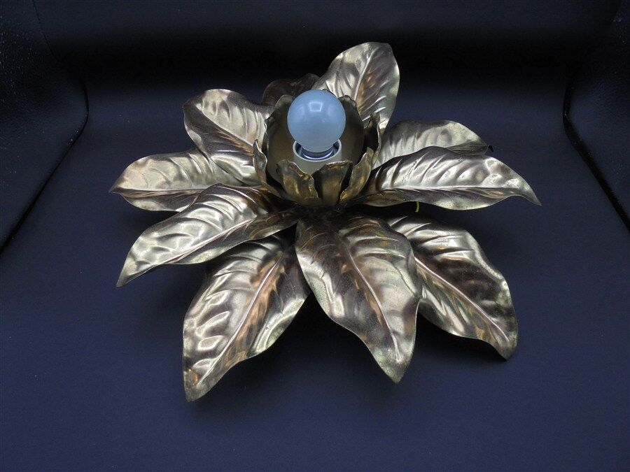 Wall or ceiling light