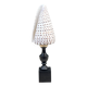 Cabinet of Curiosities: Conus shell on a blackened wooden base, 19th century