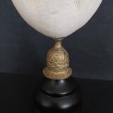 Cabinet of Curiosities sea urchin heart metalia sternalis on base