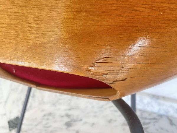Paire de chaises tonneau par Pierre Guariche pour Steiner, années 50.