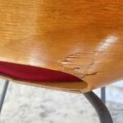 Paire de chaises tonneau par Pierre Guariche pour Steiner, années 50.