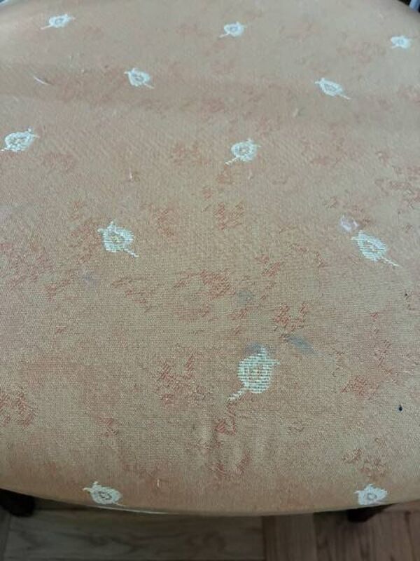 Chaise merisier et tissu