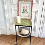 Botanical plate of roses under frame