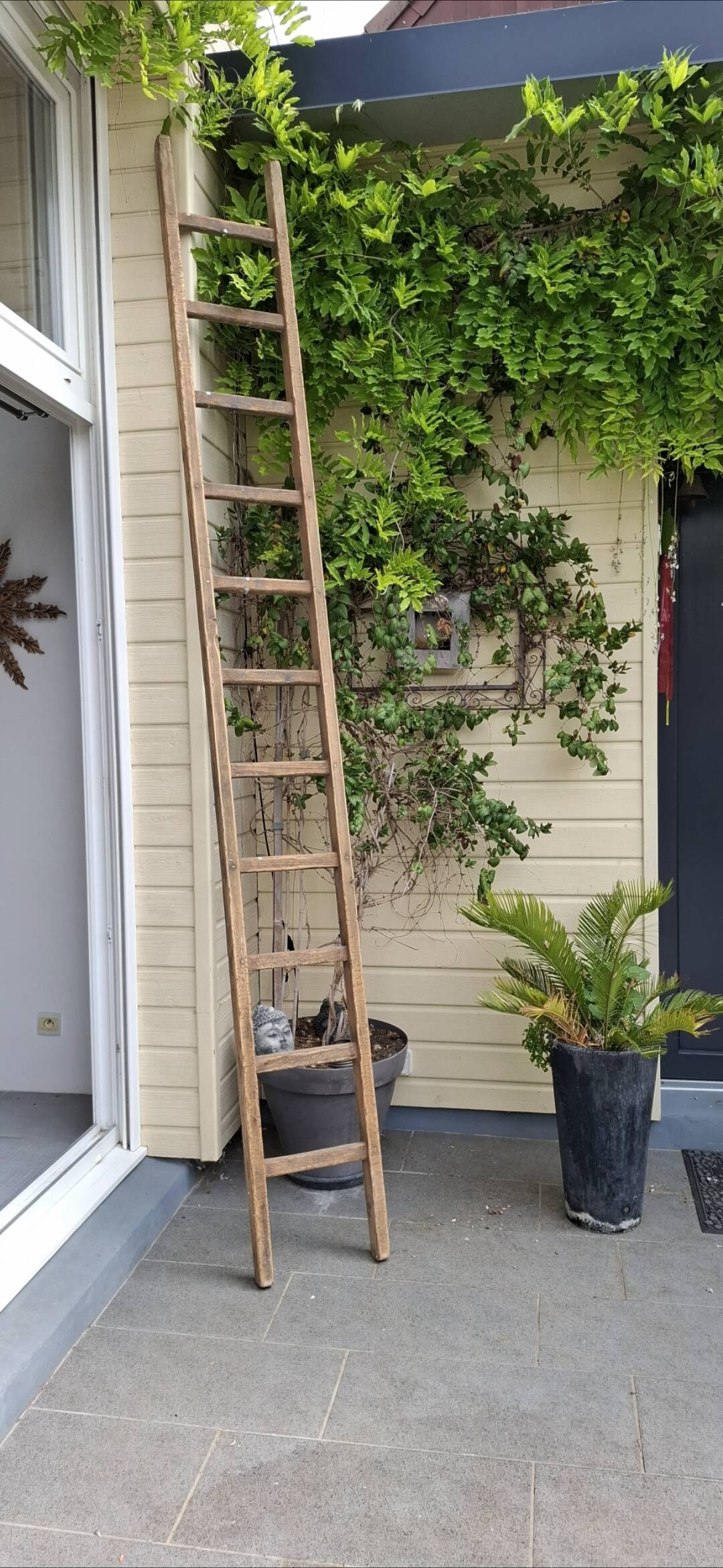 Renovated miller's ladder