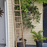 Renovated miller's ladder