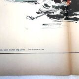 Original film poster "The Man of Rio "1964 Jean-paul Belmondo, Dorléac...