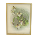 Lithographie d' orchidee planche ancienne cadre doré déco loft