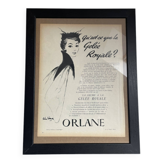 Publicité Vintage Gelée Royale Orlane Paris Match 1954