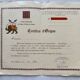 Turkmen Bukhara carpet hand-knotted – 290 x 207 cm – in perfect condition – certificate