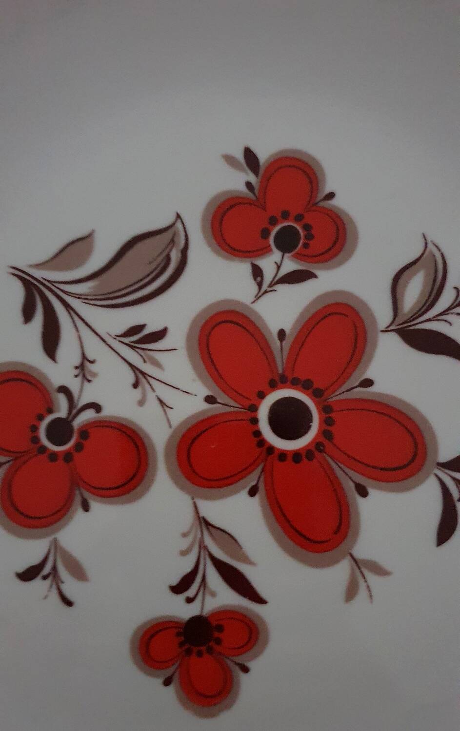 Set of 5 flat plates - Arzberg earthenware - 1960/70