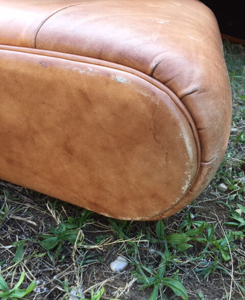 Club sofa in light brown cowhide leather