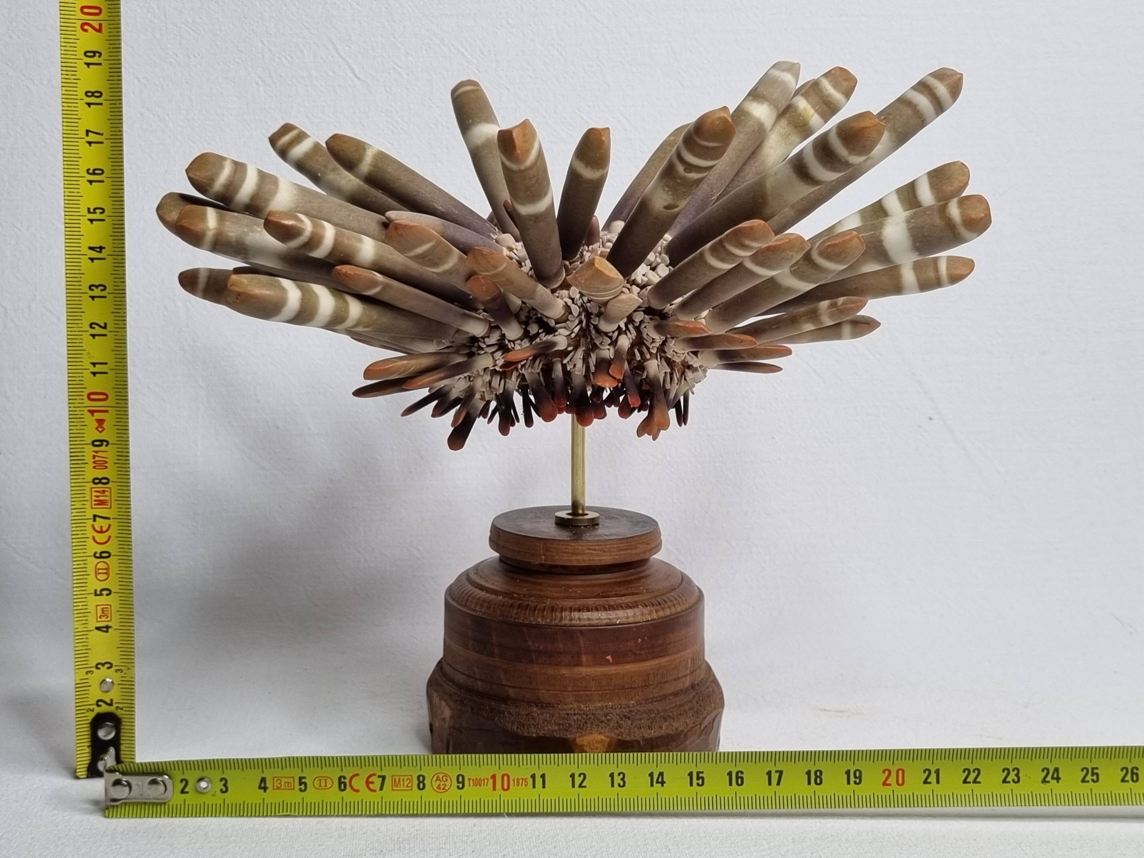 Antique sea urchin pencil on turned wooden base, 22 cm