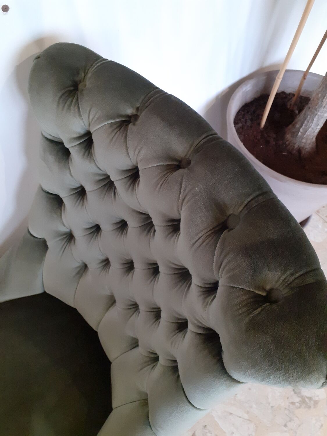 Pair of toad armchairs