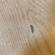 Formica table with extensions