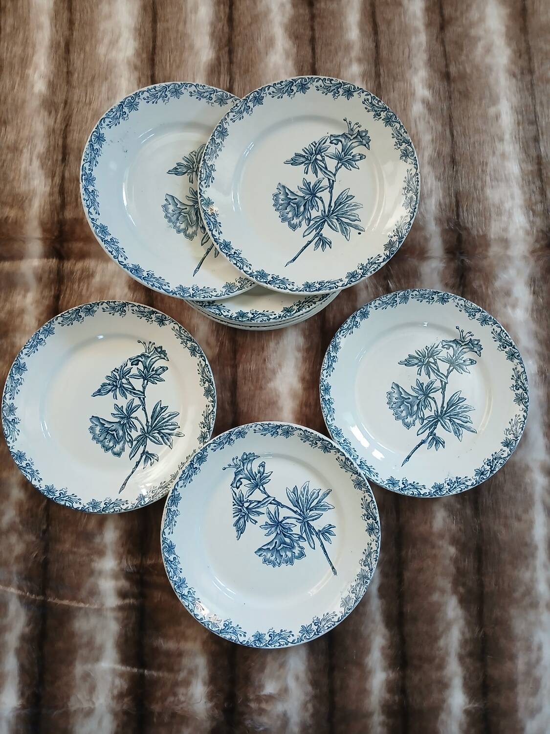 11 antique ironstone plates "Flora"