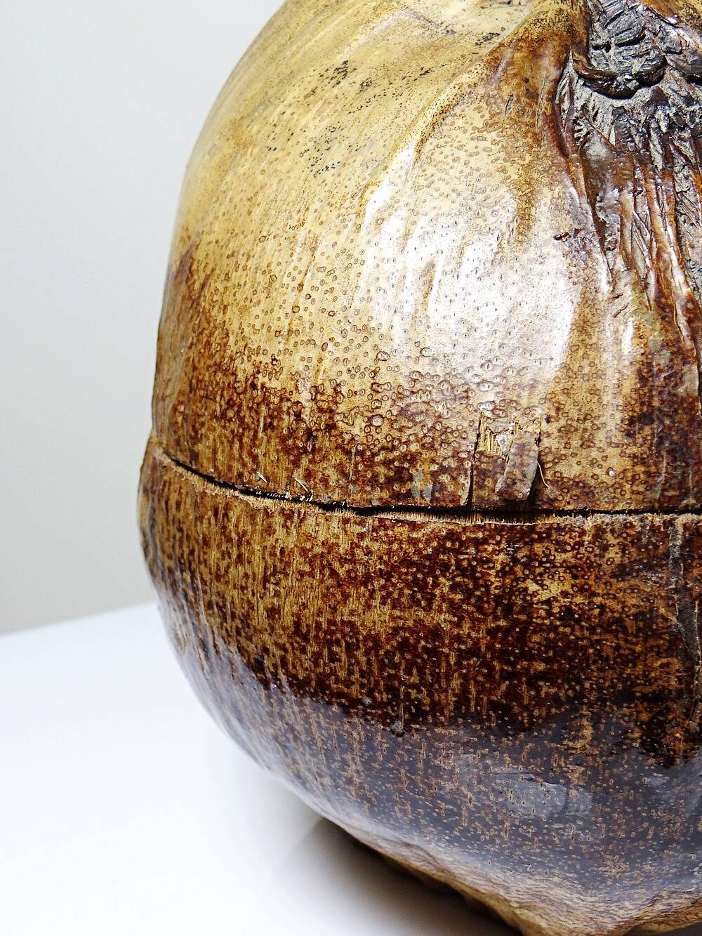 Large box/ice bucket curiosity Naturalised African Coconut vintage