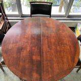 Rosewood sixties Dining Table