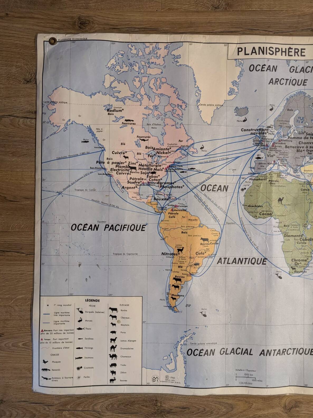 School map / political planisphere and economic planisphere