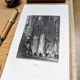 Cathédrale de Xerez, gravure, imprimée en 1841