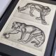Illustrated plate – Studies of felines – André Margat – 1930 – 40 x 30 cm