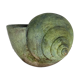 Beautiful terracotta cochlea with amazing patina