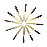 Box of 12 table knives, horn handles
