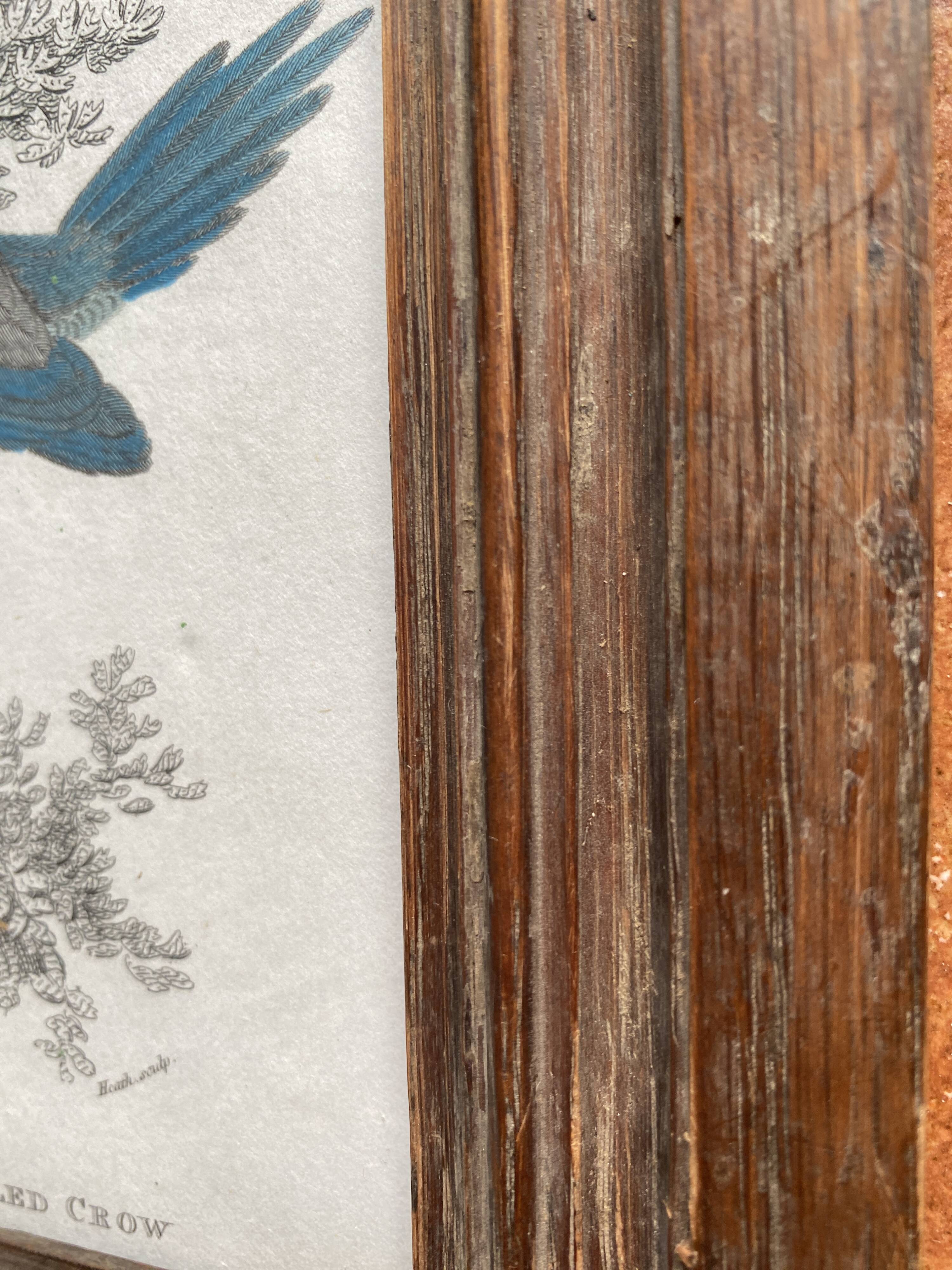 Gravure anglaise 19e, cadre bois vitré