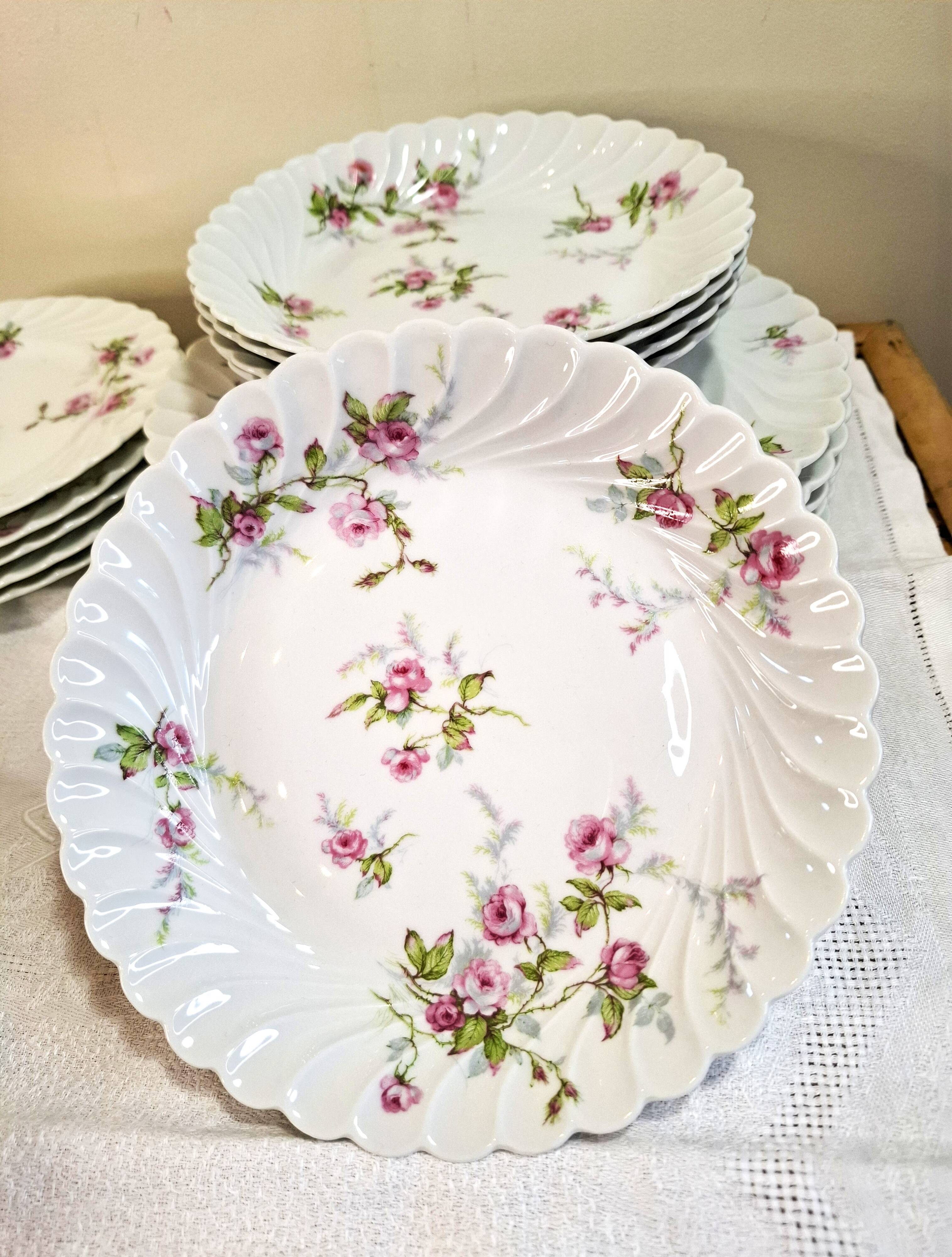 Haviland Limoges porcelain plates