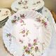 Haviland Limoges porcelain plates