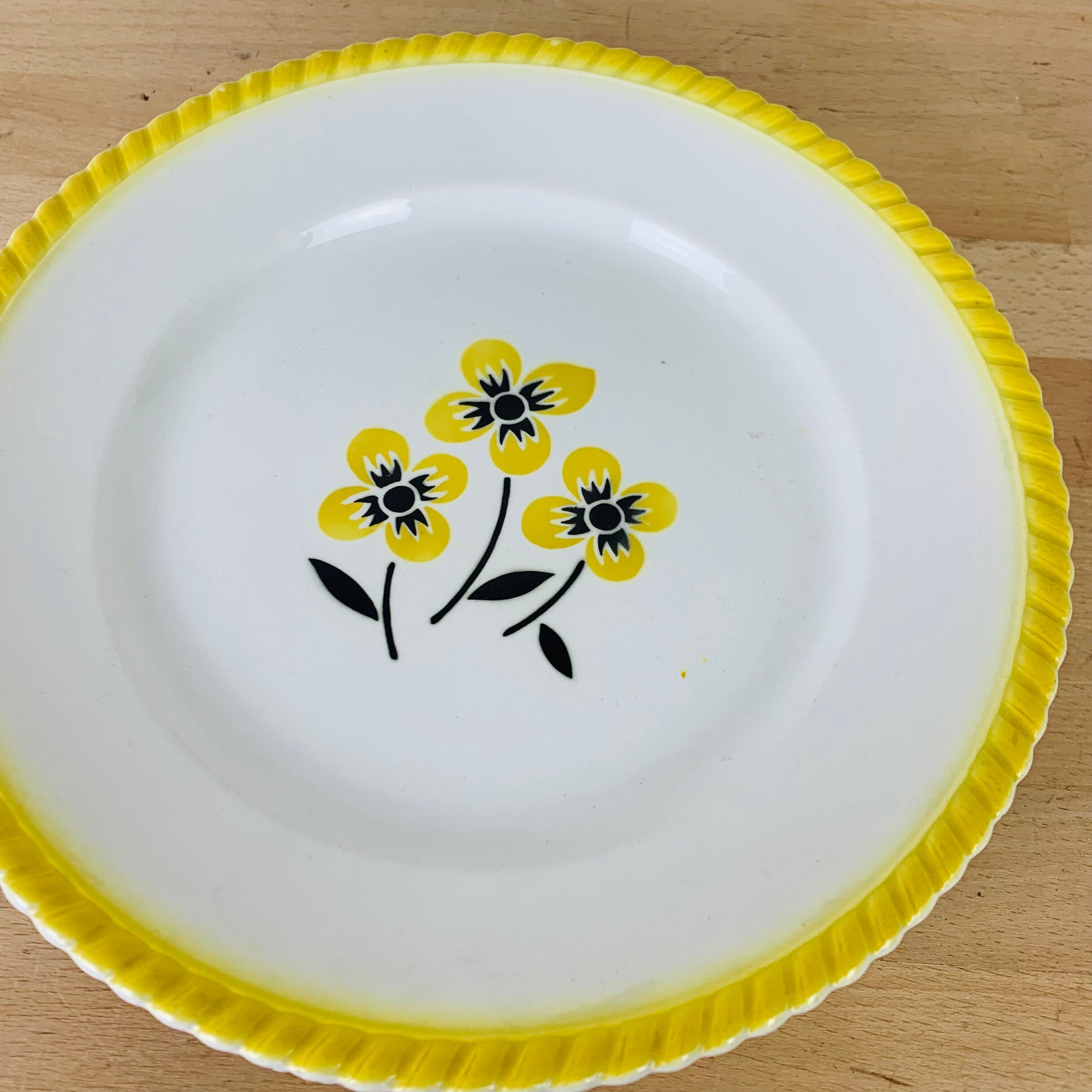 Set of 6 vintage earthenware dinner plates.