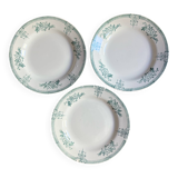 3 assiettes creuses Terre de Fer