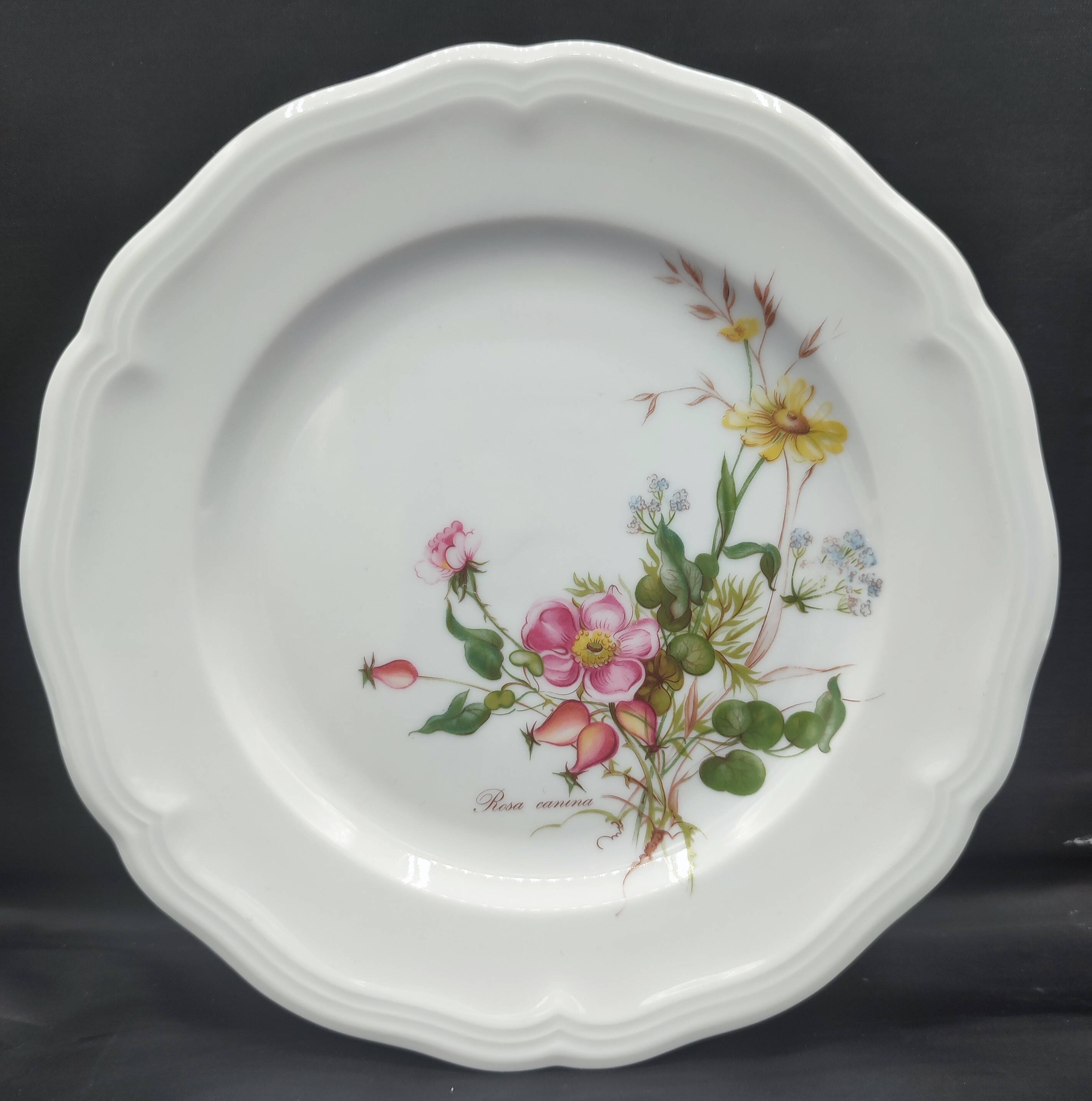 Set of 4 dessert plates Seltmann Weiden Bavaria Collection Marie-Luise