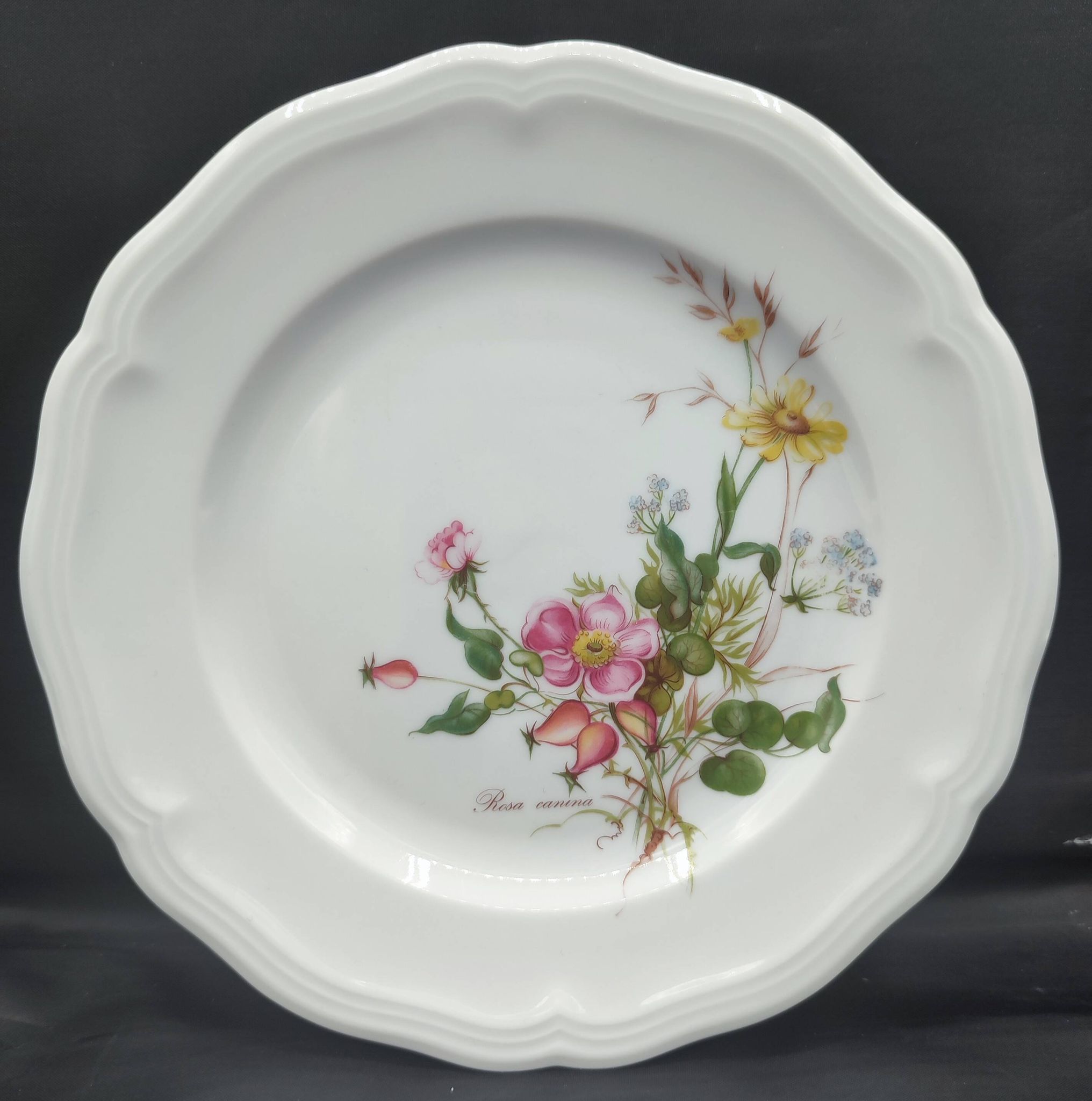 Set of 4 dessert plates Seltmann Weiden Bavaria Collection Marie-Luise