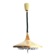 Lampe rétractable à tirage du milieu du siècle