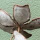 Brutalist metal lamp base, flowers