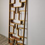 Room Divider by Ludvik Volak for Drevopodnik Holesov