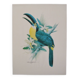 Vintage Exotic Poster