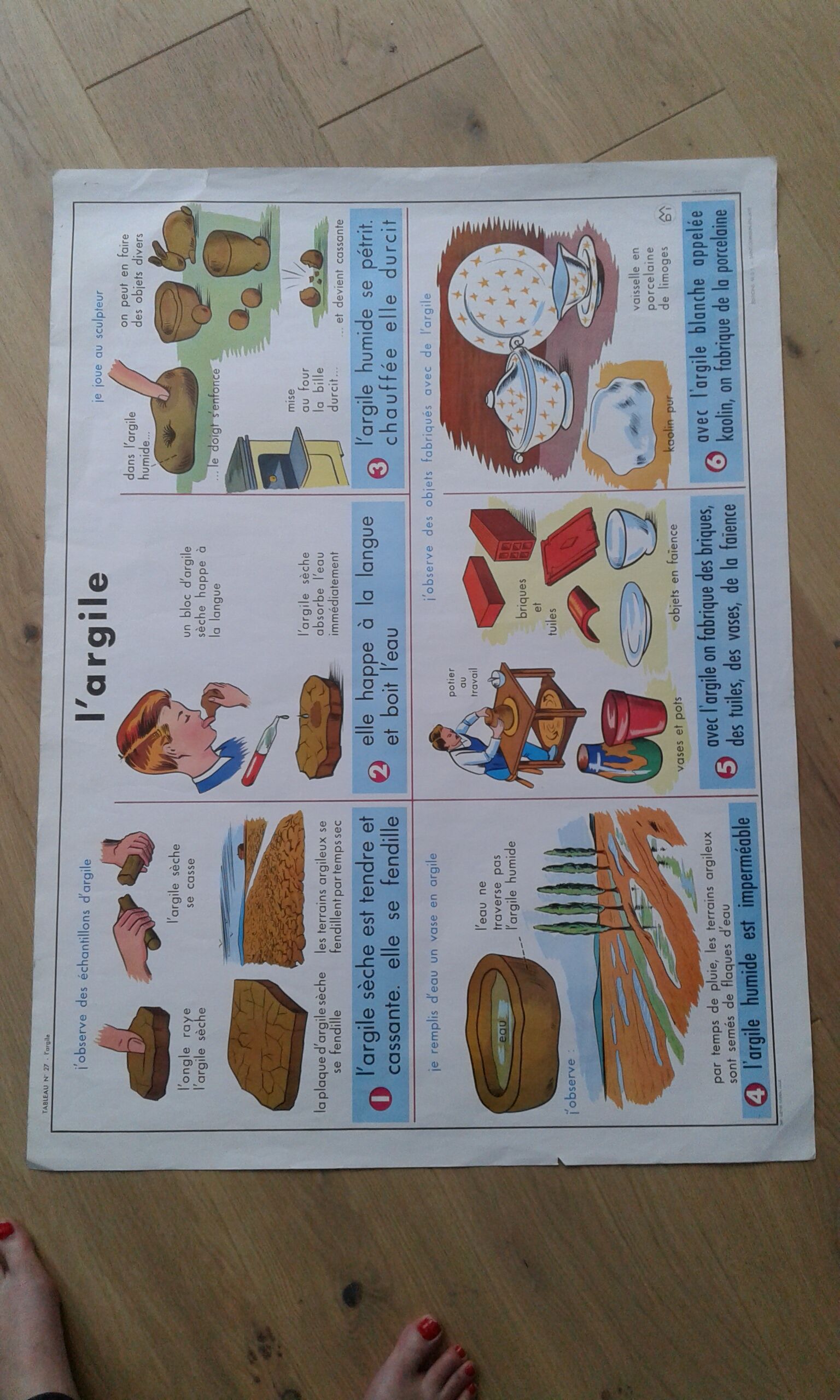 School poster rabbit and clay