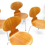 Six Chaises Ant en Teck par Arne Jacobsen pour Fritz Hansen