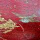 Empty tray pocket Napoleon III in lacquered wood.