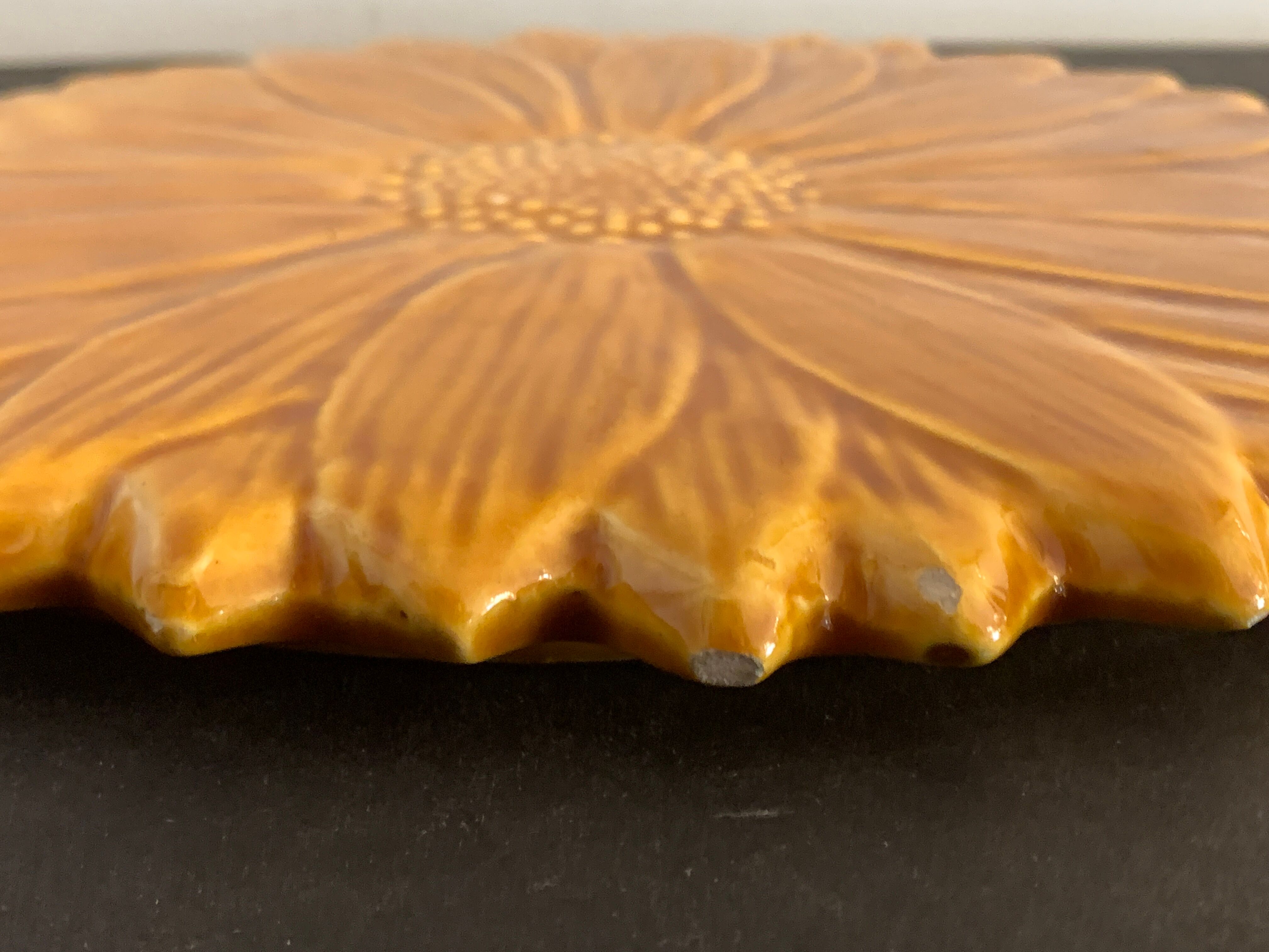 Underside Vallauris Aegitna, Saltalamacchia, sunflower model