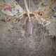 Suspension, lustre, pale fleurs, rotin et globe vintage
