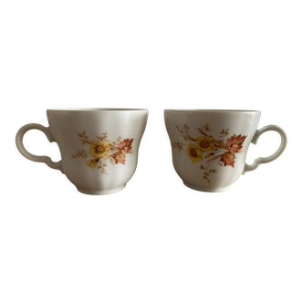 Lot 2 tasses Winterling Bavaria