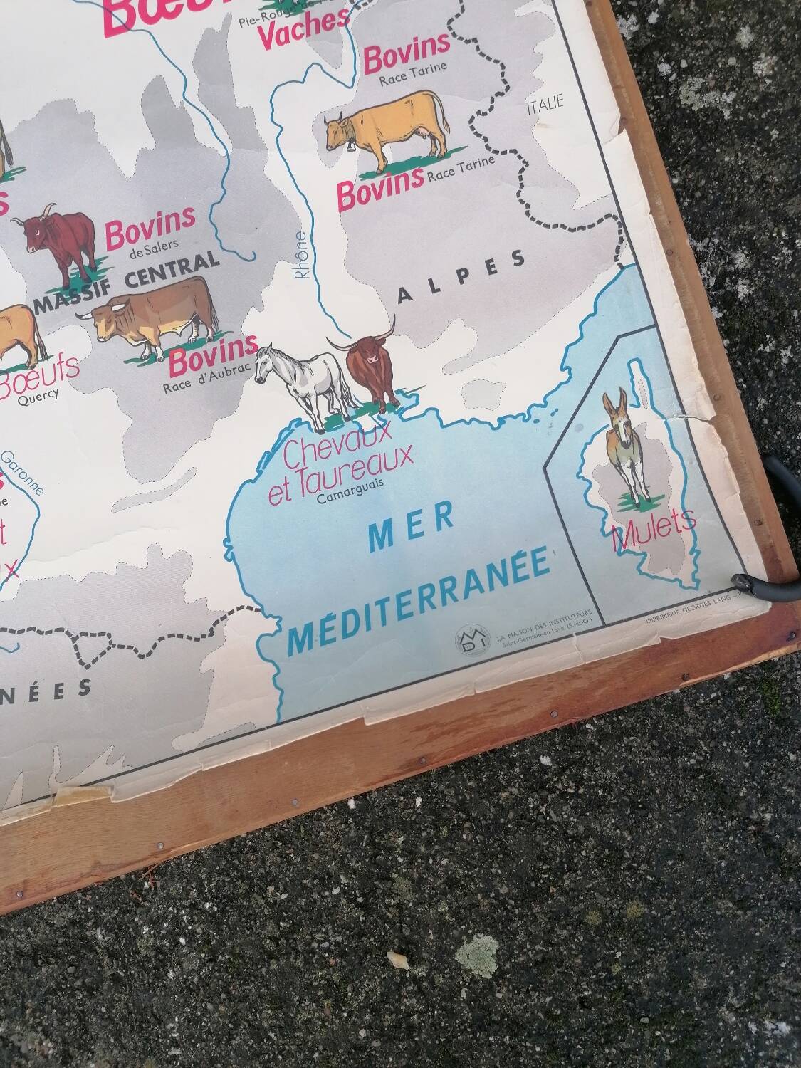 Ancienne affiche scolaire MDI France, le gros élevage et le Rhône.