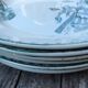 Series 6 tablespoons Plate Iron Earth