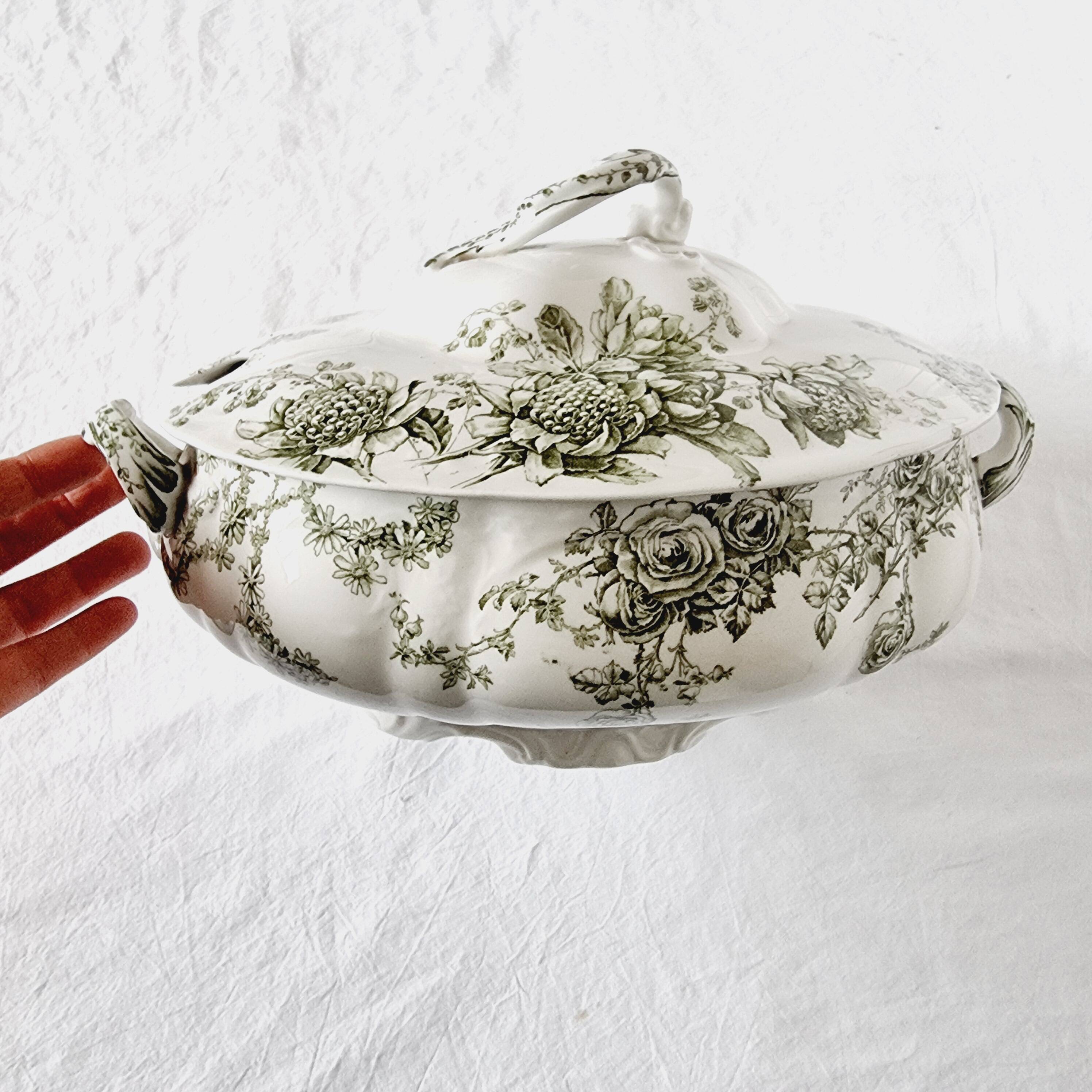 Antique Doulton Brurslem English Porcelain Tureen with Rose and Waratah Pattern from 1920