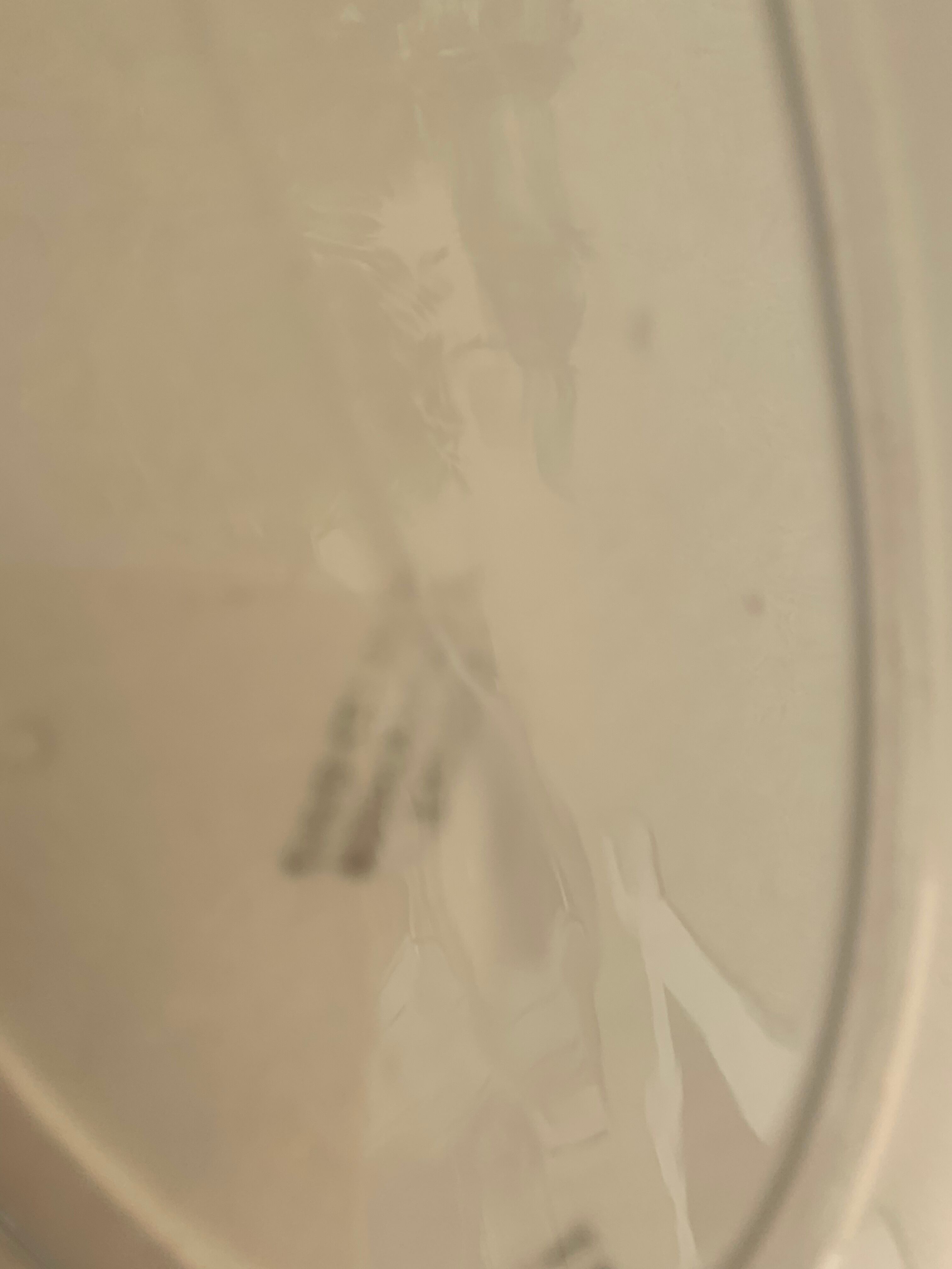 Serving dish in charcoal earthenware model Courbet art deco