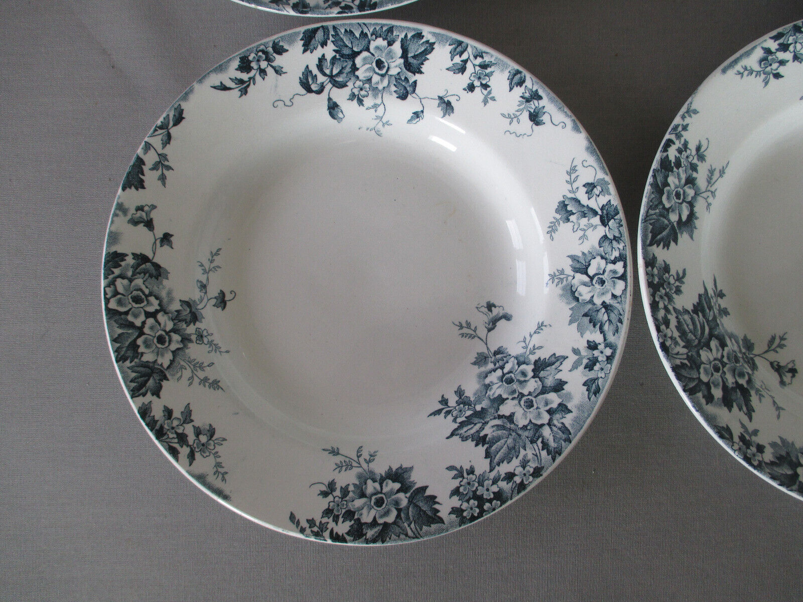 6 assiettes creuses St Amand & Hamage Marie Louise terre de fer