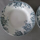 6 assiettes creuses St Amand & Hamage Marie Louise terre de fer