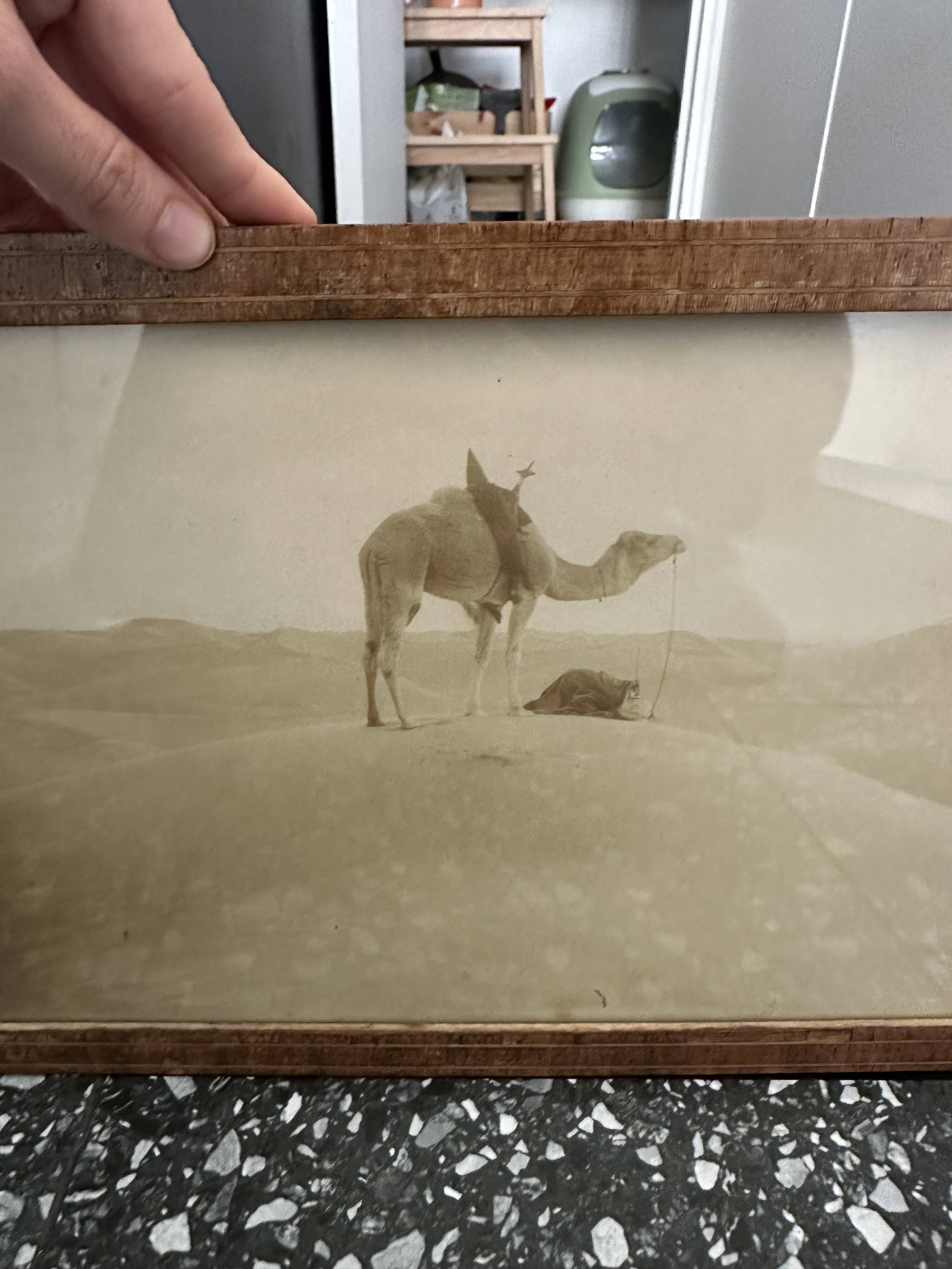 Panoramic photograph of the ancient Sahara A. Bougault around 1900 – Framed
